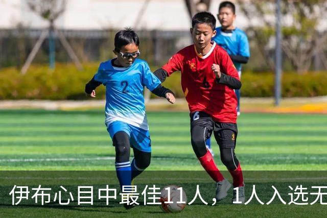 伊布心目中最佳11人，1人入选无任何悬念，2大球王落选在情理之中
