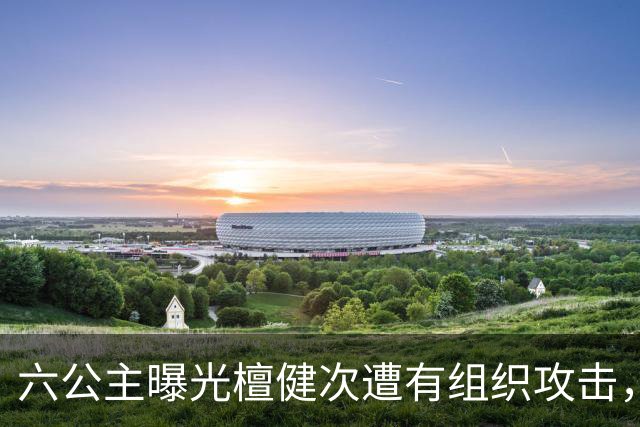 六公主曝光檀健次遭有组织攻击，拍《何不同舟渡》期间长期遭受批量有组织抹黑，成典型案例曝光
