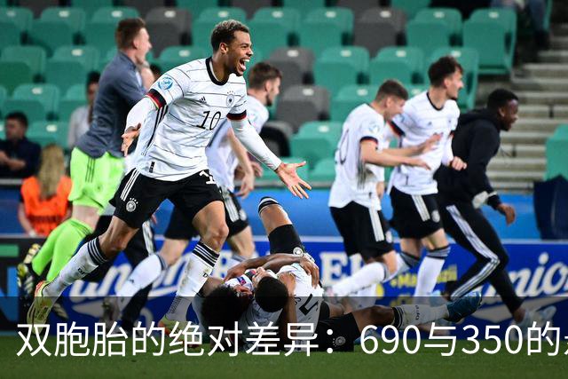 双胞胎的绝对差异：690与350的悬疑夜